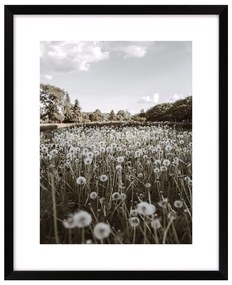 Плакат 40x50 cm Meadow