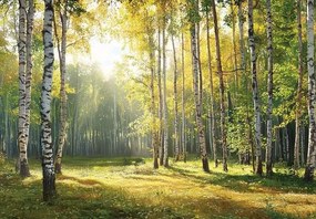 15689 - Брезова гора