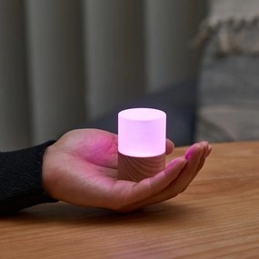 Светлинна декорация с USB в естествен цвят ø 4,5 cm Lemelia – Gingko