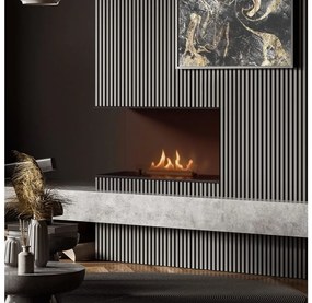Planika Senso Fireplace BEV- Вграден БИО камина 56,2x75 см 2,5kW + дистанционно управление