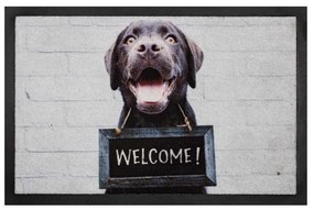 IMAGE WELCOME DOG ИЗТРИВАЛКА 40/60 СМ