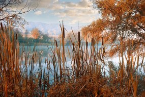Самозалепващ фототапет – Езеро сред есенна природа