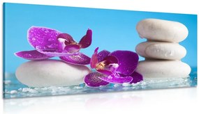 Картина на платно – Уелнес натюрморт