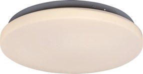 Rabalux Rob Таванно осветление (плафони) IP20 LED 20W 3338