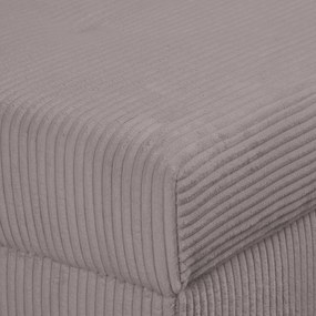 Табуретка от сив велур Ariella - Ropez