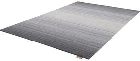 Светлосив вълнен килим 200x300 cm Beverly - Agnella