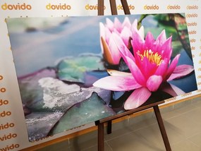 Картина на платно – Розов лотосов цвят