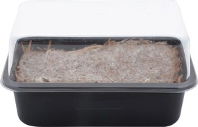 Разсадник за растения Field Mushroom – Esschert Design