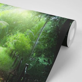 Фототапет – Пътека на остров Сейшели