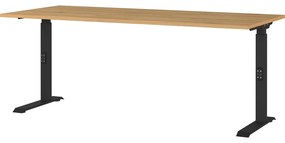 Работна маса 80x180 cm Agenda – Germania
