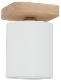 Spot-Light 8512174 - Плафон JENTA 1xE27/25W/230V