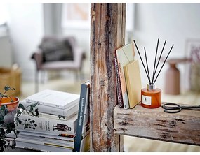 Дифузер No. 6 Sequoia – ILLUME x Bloomingville