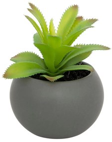 Изкуствено растение atmosphera Succulent, 13 cm, Различни видове
