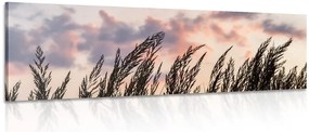 Картина на платно – Стъбла дълга трева