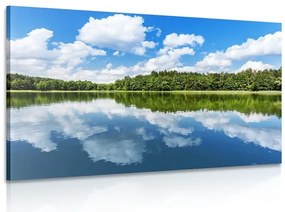 Картина на платно – Природа през лятото