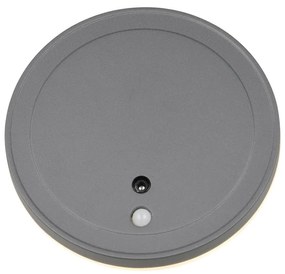 LED стенно външно осветително тяло ø 14 cm Fortaleza – Trio