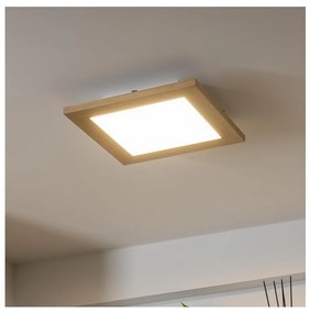 Brilagi - LED Димируема лампа SLIMFRAME WOOD LED/25W/230V 34x34 см + д.у.