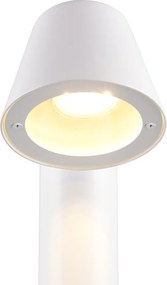 Колонно външно осветително тяло ø 11,5 cm Beni – Trio