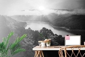 Самозалепващ фототапет – Река сред гора в черно-бяло