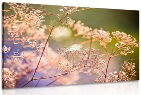 Картина на платно – Натюрморт от цветя