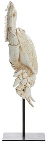 Статуя от полирезин (височина 42,5 cm) Crab – Light &amp; Living