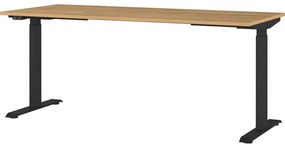 Работна маса с електрическо регулиране на височината с дъбов плот 80x180 cm Agenda – Germania