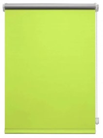 Светлозелена ролетна щора 42,5x150 cm Mini Termo – Gardinia