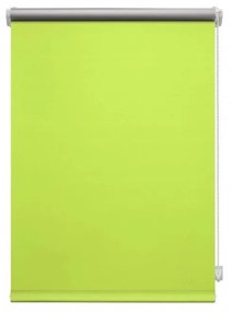 Светлозелена ролетна щора 97x150 cm Mini Termo – Gardinia