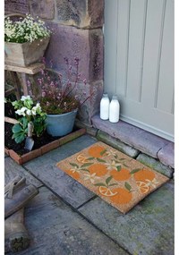 Изтривалка от кокосови влакна 40x60 cm Orange – Artsy Doormats