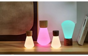 Настолна лампа с възможност за затъмняване в естествен цвят (височина 13 см) Pentagon - Gingko