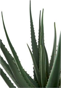 Изкуствено растение (височина 51 cm) Aloe Vera – House Nordic