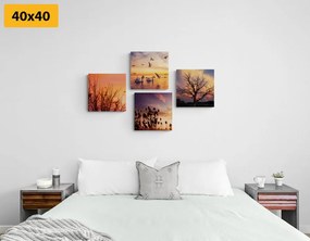 Комплект картини – Очарователна природа