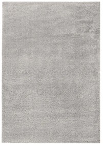 Светлосив килим 160x230 cm - Flair Rugs