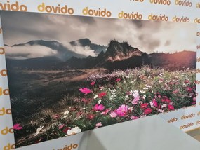 Картина на платно – Ливада от цъфтящи цветя
