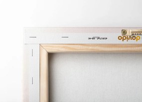 Картина на платно – Модерна прасковена дъга Mid-Century