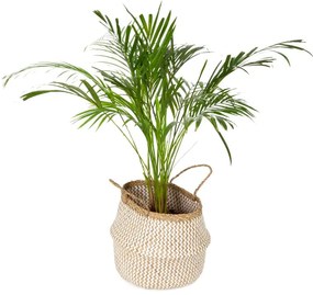 Кошница за съхранение от светла морска трева , ⌀ 35 cm Zic Zac - Compactor