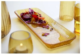 Оранжева стъклена чиния за сервиране 14x38 cm Kusintha - Bitz