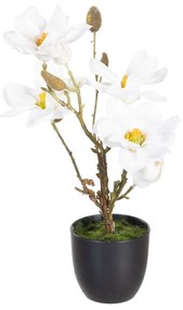 Декоративно Растение полиестер полиетилен Желязо 22 x 22 x 38 cm Magnolia