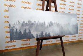 Картина на платно – Мъгла над гората в черно и бяло
