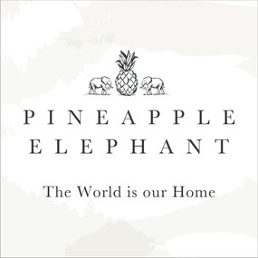 Бяла памучна завеса 140x137 cm Zofia Broderie Anglaise – Pineapple Elephant