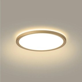 Brilagi - LED осветително тяло за баня ULTRA SLIM LED/12W/230V Ø 22,5 см златисто IP54