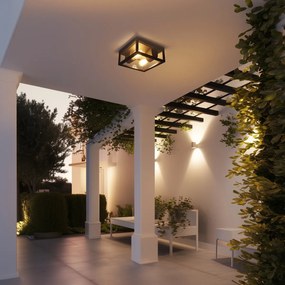 Индустриален таванен аплик черен IP44 2-светлина - Charlois