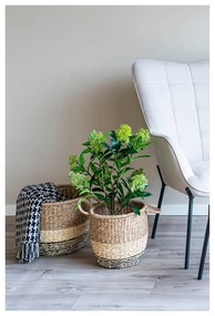 Изкуствено растение Skimmia - House Nordic