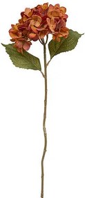 Декоративно стъбло хортензия atmosphera Fria, Асорти, 62 cm
