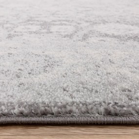 Светлосив килим 160x230 cm Muse Heritage Grey Silver – Asiatic Carpets