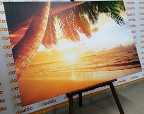 Картина на платно – Изгрев на карибския плаж