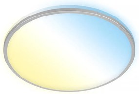 Briloner 3064-014- LED димируемо таванно осветително тяло IVY 24W/230V Wi-Fi Tuya Ø33,3см+дистанционно управление