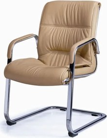 Посетителски стол D 73