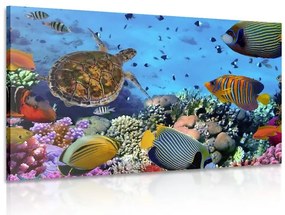 Картина на платно – Подводен свят