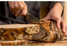 Нож от неръждаема стомана Ice Force - Tefal